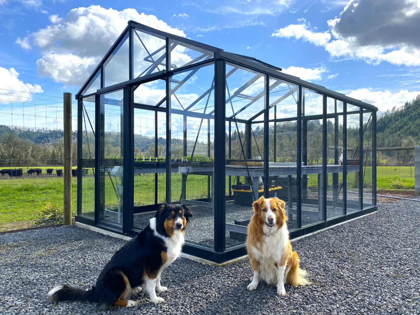 Exaco Janssens Royal Victorian VI34 Greenhouse 10ft x 15ft Questions & Answers